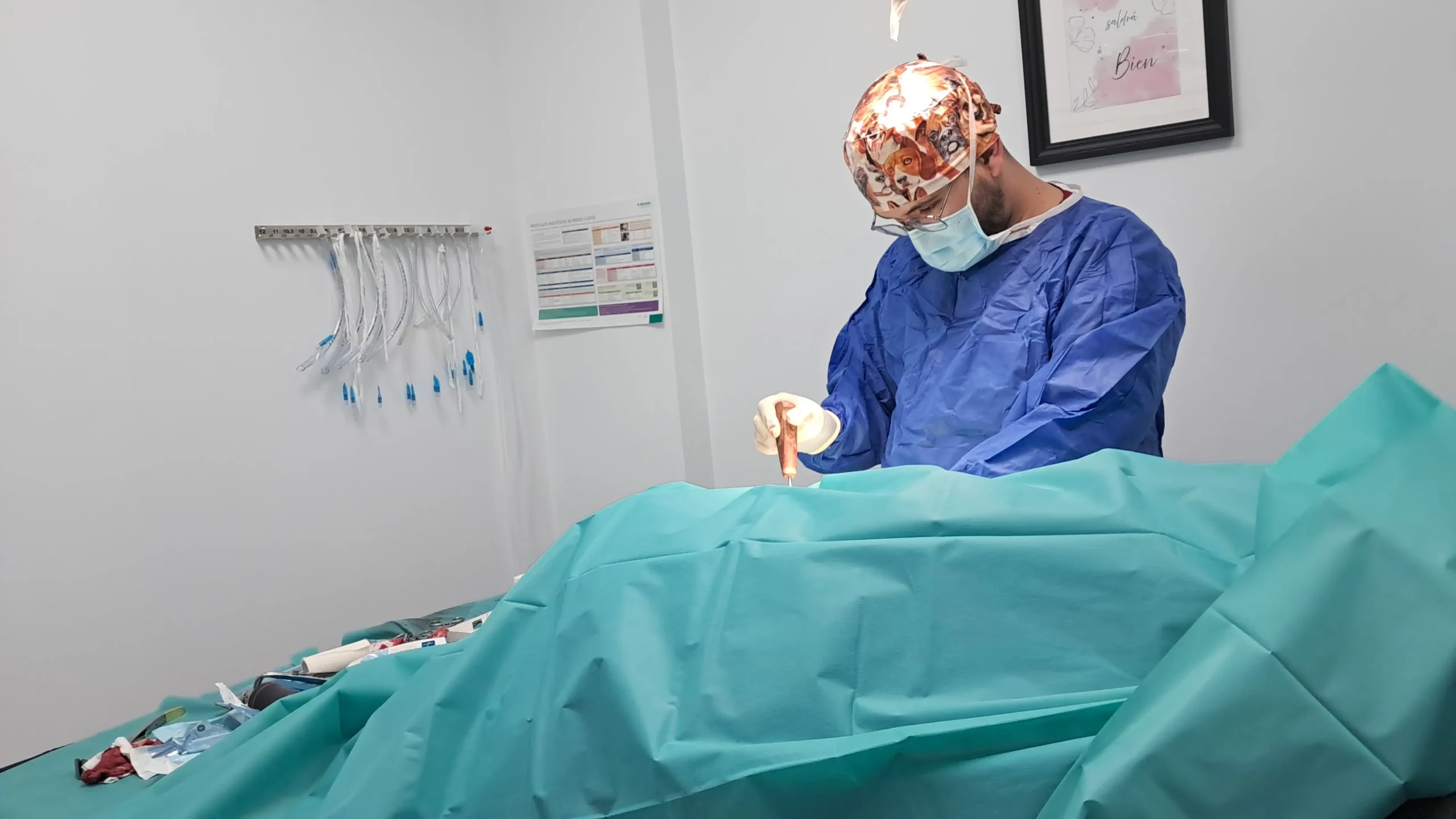 Dr. Jorge Pérez Alzola, especialista en traumatología veterinaria en ClinicVet La Laguna