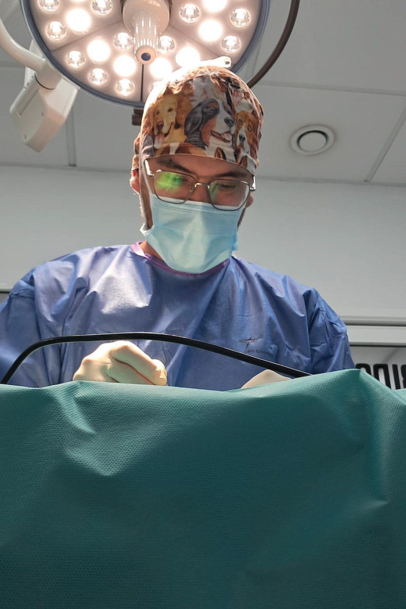 Traumatología-Veterinaria | Clinivet La Laguna